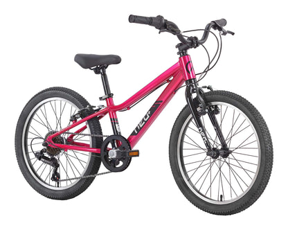 Neo Disc+ 20 6s Geared