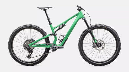 2025 Specialized Stumpjumper 15 Expert