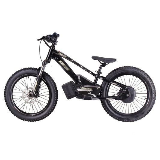 GOBIKE 20INCH ELECTRIC BALANCE BIKE (AGES 9-16)